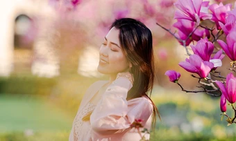 Hoa mộc lan nở rộ trong vườn Hoàng Gia ở Paris