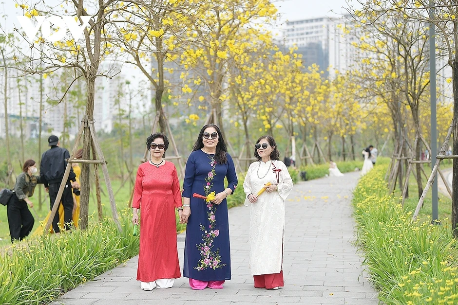 Hoa phong linh, hoa gạo nở rực rỡ trong tiết xuân hấp dẫn người dân Thủ đô