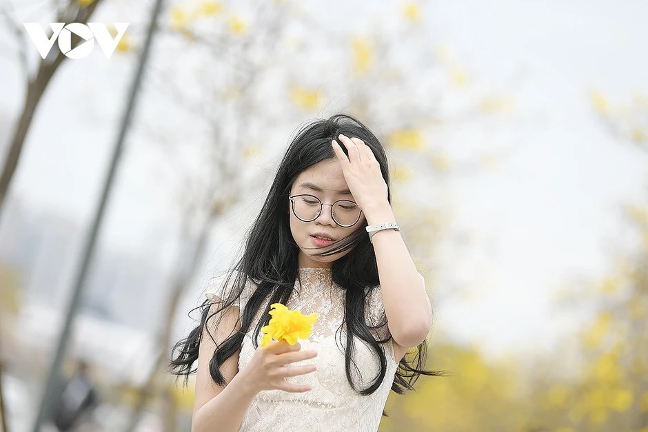 Hoa phong linh, hoa gạo nở rực rỡ trong tiết xuân hấp dẫn người dân Thủ đô