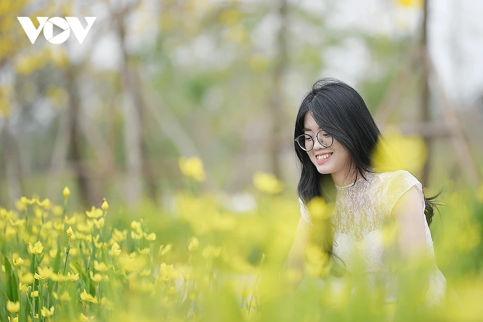 Hoa phong linh, hoa gạo nở rực rỡ trong tiết xuân hấp dẫn người dân Thủ đô