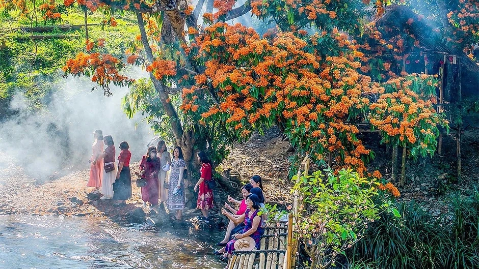 Hoa trang rừng nở rộ, “nàng thơ” của đại ngàn Gia Lai thức giấc
