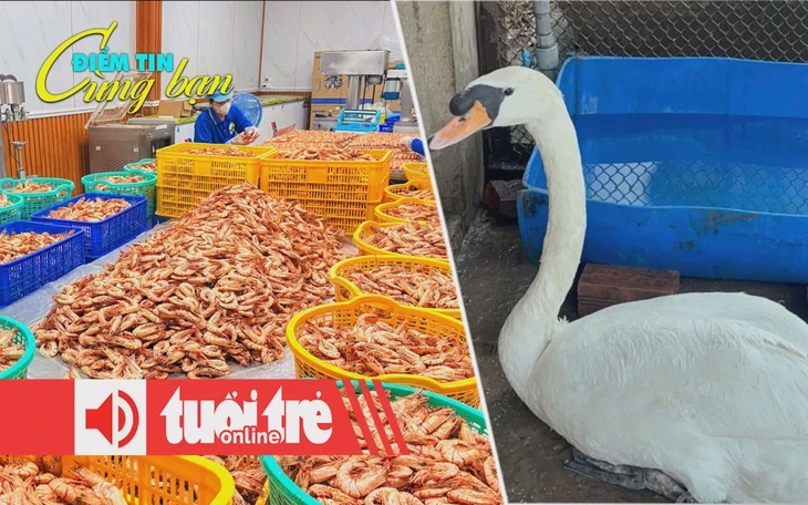 Hơn 20 doanh nghiệp tham gia trưng bày, giới thiệu OCOP tại Hà Tiên Hơn 20 doanh nghiệp tham gia trưng bày, giới thiệu OCOP tại Hà Tiên