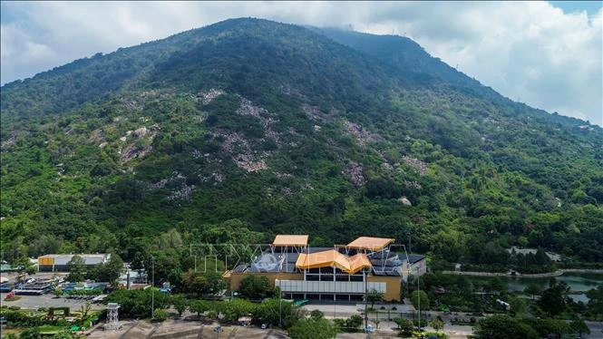 Kết nối hệ sinh thái rừng với không gian di sản, phát triển du lịch xanh Kết nối hệ sinh thái rừng với không gian di sản, phát triển du lịch xanh