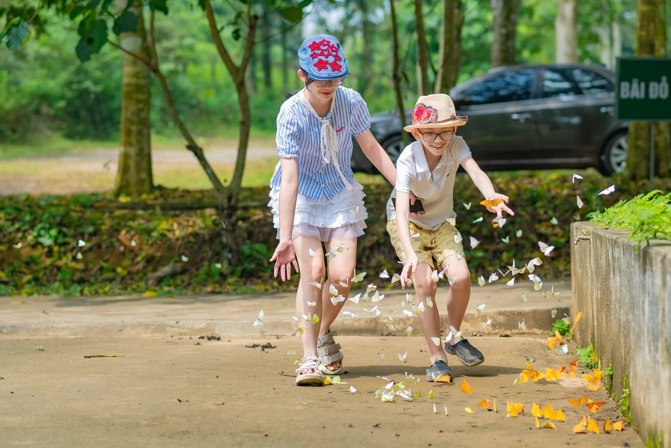 Khách Hà Nội dậy từ 4h, di chuyển 100km đến Cúc Phương chụp ảnh với bướm Khách Hà Nội dậy từ 4h, di chuyển 100km đến Cúc Phương chụp ảnh với bướm