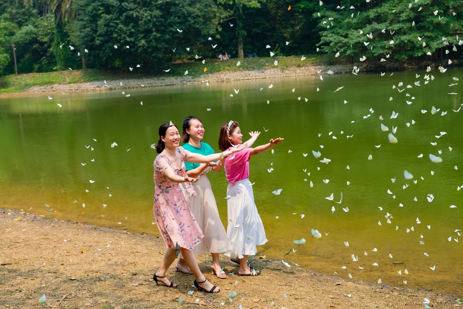 Khách Hà Nội dậy từ 4h, di chuyển 100km đến Cúc Phương chụp ảnh với bướm Khách Hà Nội dậy từ 4h, di chuyển 100km đến Cúc Phương chụp ảnh với bướm