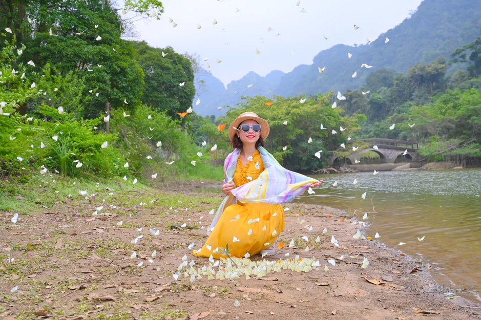 Khách Hà Nội dậy từ 4h, di chuyển 100km đến Cúc Phương chụp ảnh với bướm Khách Hà Nội dậy từ 4h, di chuyển 100km đến Cúc Phương chụp ảnh với bướm