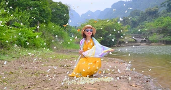 Khách Hà Nội dậy từ 4h, di chuyển 100km đến Cúc Phương chụp ảnh với bướm