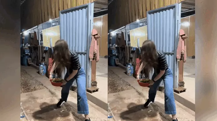 Khách Mỹ chi 75 triệu đồng đến Việt Nam rửa bát, lội ao bắt cá