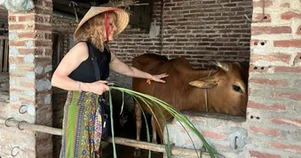 Khách Mỹ cho bò ăn cỏ, thử sống như nông dân giữa Hà Nội