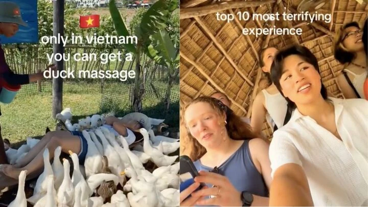 Khách Tây đi massage vịt, cá ở Việt Nam khen 'kỹ thuật viên rất tốt, rất hài' Khách Tây đi massage vịt, cá ở Việt Nam khen 'kỹ thuật viên rất tốt, rất hài'