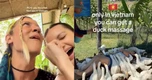 Khách Tây đi massage vịt, cá ở Việt Nam khen 