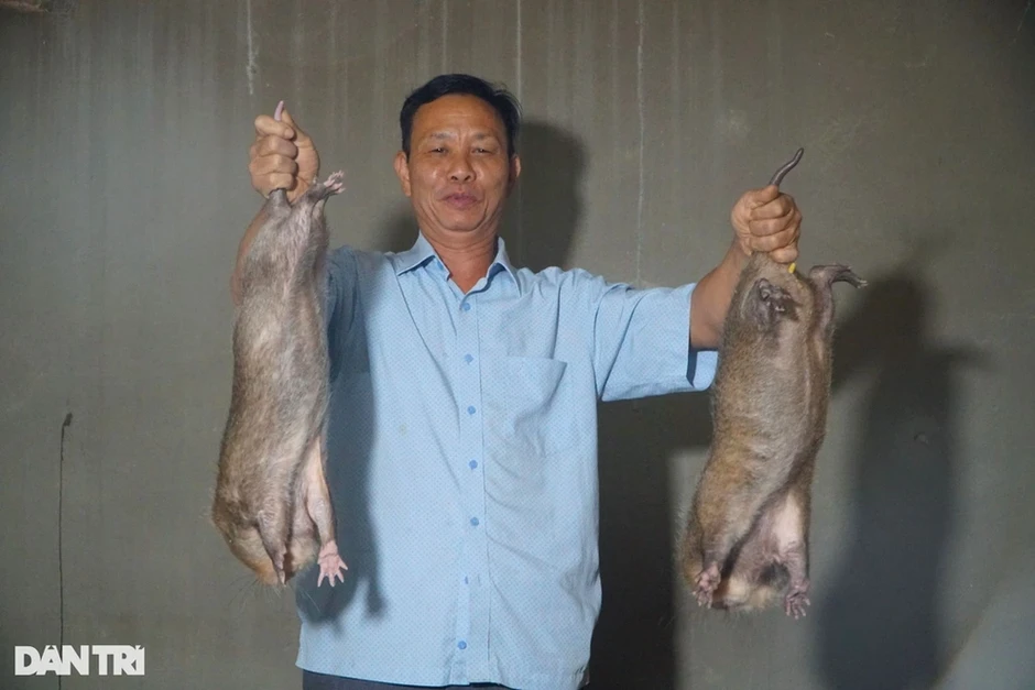 Khách Tây thử món thịt chuột khổng lồ ở Hà Nội, giá hơn 2 triệu đồng/kg Khách Tây thử món thịt chuột khổng lồ ở Hà Nội, giá hơn 2 triệu đồng/kg