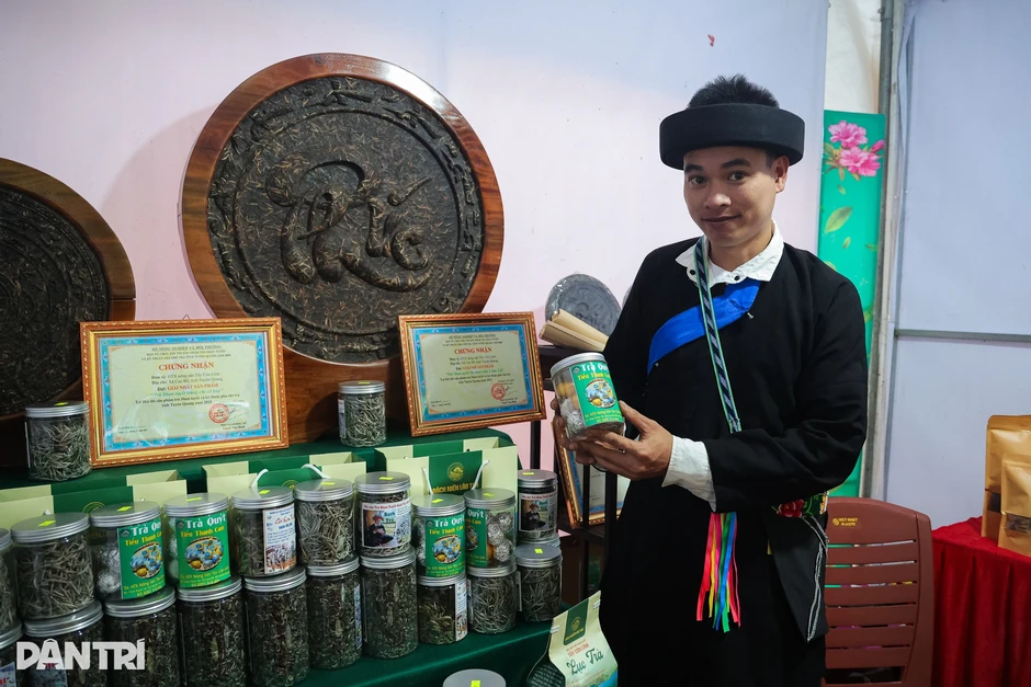 Khách thưởng thức chè Shan tuyết cổ thụ tại lễ hội ở Tuyên Quang Khách thưởng thức chè Shan tuyết cổ thụ tại lễ hội ở Tuyên Quang