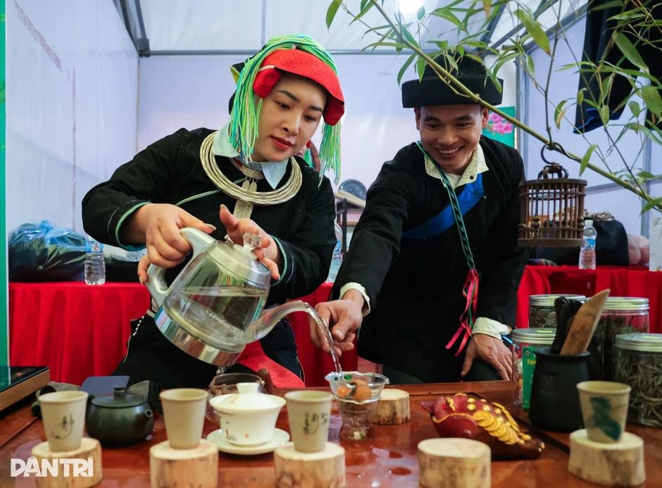 Khách thưởng thức chè Shan tuyết cổ thụ tại lễ hội ở Tuyên Quang Khách thưởng thức chè Shan tuyết cổ thụ tại lễ hội ở Tuyên Quang