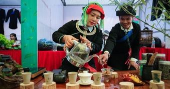 Khách thưởng thức chè Shan tuyết cổ thụ tại lễ hội ở Tuyên Quang