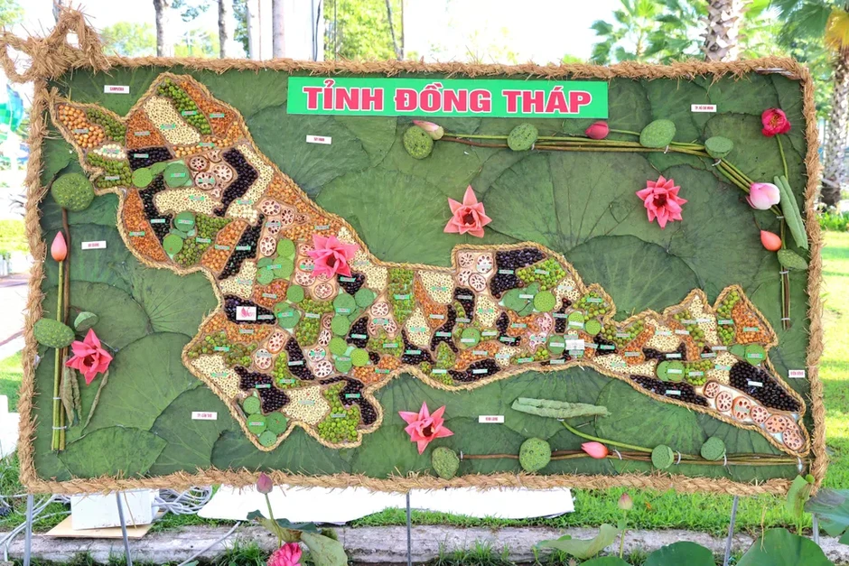 Khai mạc Lễ hội Sen Đồng Tháp 2026 Khai mạc Lễ hội Sen Đồng Tháp 2026