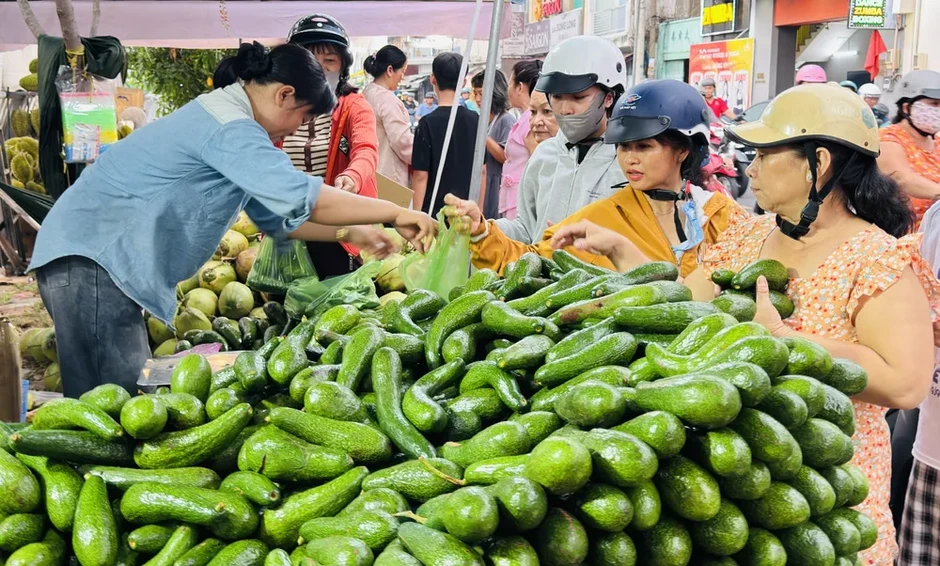 Khai mạc Tuần lễ Trái cây “Trên bến dưới thuyền” với hơn 230 gian hàng Khai mạc Tuần lễ Trái cây “Trên bến dưới thuyền” với hơn 230 gian hàng