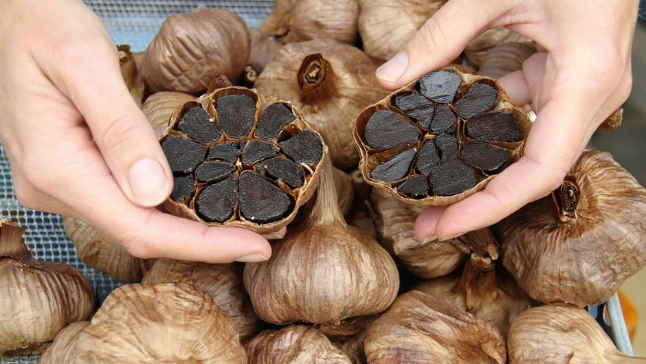Khám phá hồ nước ngọt trên miệng núi lửa Lý Sơn, điểm đến tuyệt vời dịp 2/9 Khám phá hồ nước ngọt trên miệng núi lửa Lý Sơn, điểm đến tuyệt vời dịp 2/9