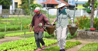 Khám phá Việt Nam trong cuộc phiêu lưu đa giác quan