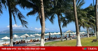 Khánh Hòa đón sóng khách Nga: Thị trường trở lại đầy triển vọng
