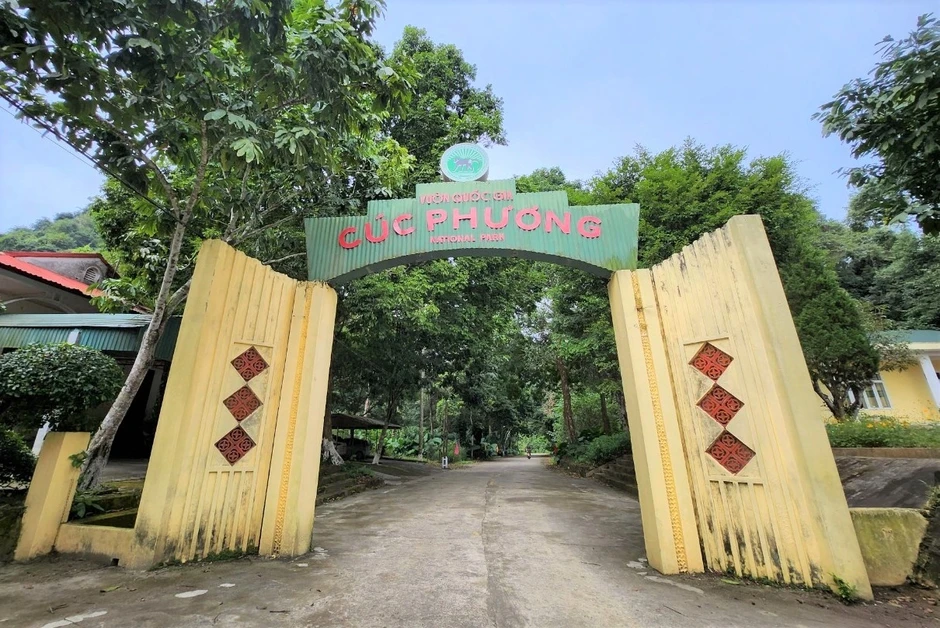 Khoảnh khắc hai con hươu "tỉ thí võ công" trong rừng Cúc Phương gây sốt Khoảnh khắc hai con hươu "tỉ thí võ công" trong rừng Cúc Phương gây sốt