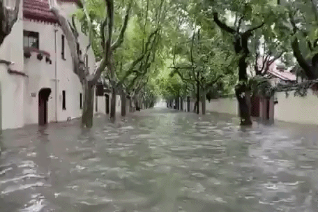 Khu phố toàn biệt thự, nhà cổ nổi tiếng ở Trung Quốc ngập nặng sau mưa Khu phố toàn biệt thự, nhà cổ nổi tiếng ở Trung Quốc ngập nặng sau mưa