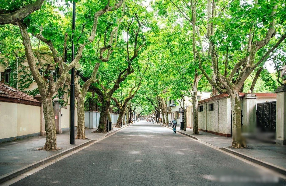 Khu phố toàn biệt thự, nhà cổ nổi tiếng ở Trung Quốc ngập nặng sau mưa Khu phố toàn biệt thự, nhà cổ nổi tiếng ở Trung Quốc ngập nặng sau mưa