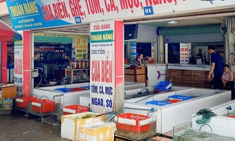 Kinh nghiệm mua hải sản ở Đồ Sơn