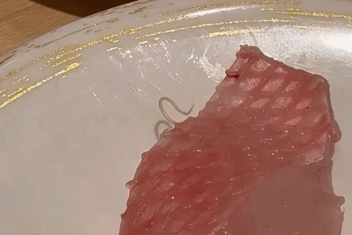 Ký sinh trùng ngoe nguẩy trên miếng cá sống, chuỗi sushi Nhật xin lỗi Ký sinh trùng ngoe nguẩy trên miếng cá sống, chuỗi sushi Nhật xin lỗi