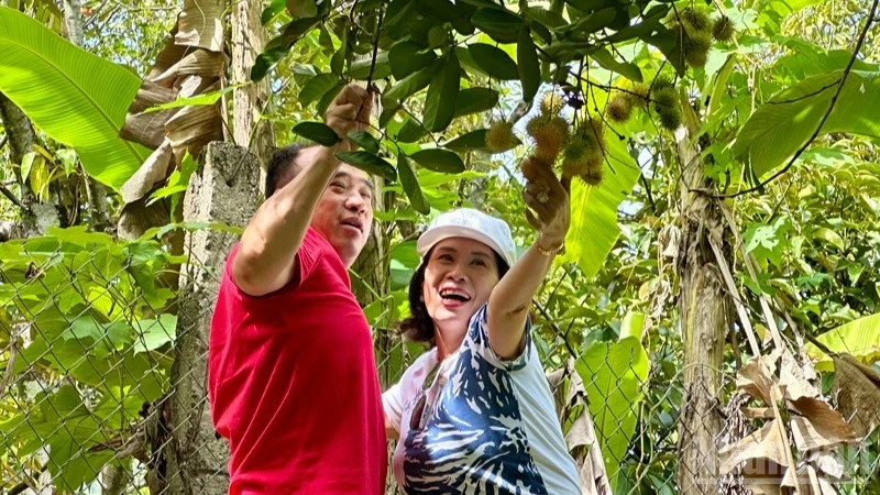 Lâm Sơn mùa quả ngọt