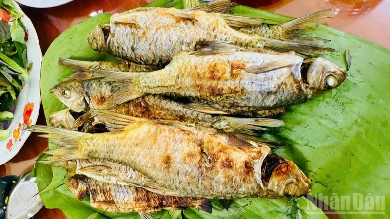 Lâm Sơn mùa quả ngọt