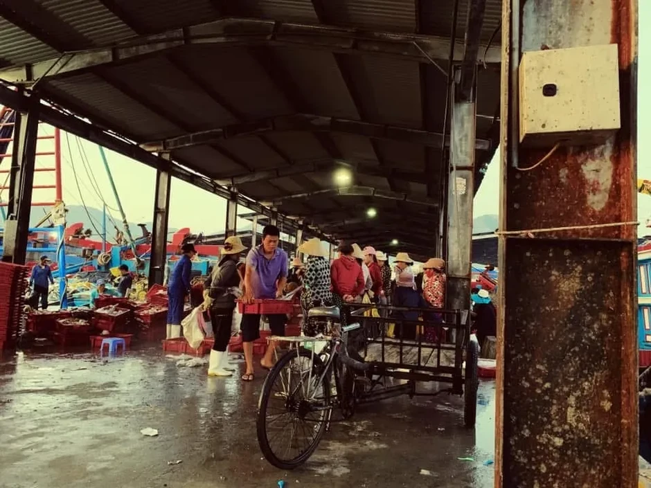 Làng chài Vĩnh Lương: Sức hút từ những điều bình dị Làng chài Vĩnh Lương: Sức hút từ những điều bình dị