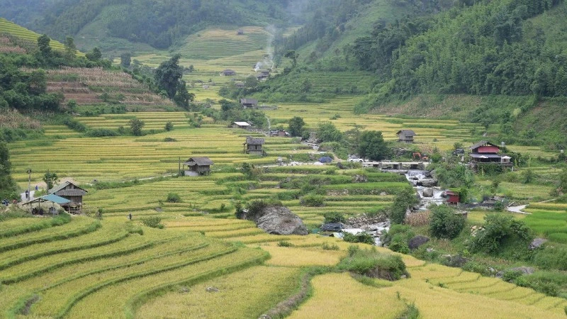 Lào Cai tổ chức giải đua xe đạp địa hình “Mường Bo X-Rice vút bay trên sóng lúa vàng” Lào Cai tổ chức giải đua xe đạp địa hình “Mường Bo X-Rice vút bay trên sóng lúa vàng”