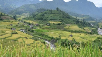 Lào Cai tổ chức giải đua xe đạp địa hình “Mường Bo X-Rice vút bay trên sóng lúa vàng”