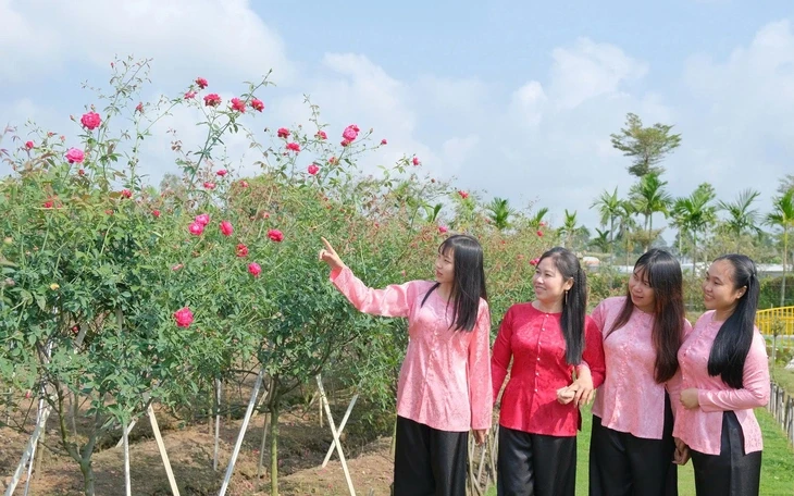 Loạt điểm đến miệt vườn, làng nghề khó bỏ qua khi về Vĩnh Long Loạt điểm đến miệt vườn, làng nghề khó bỏ qua khi về Vĩnh Long