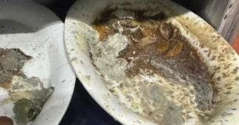 Mỹ: Nơi làm hàng nghìn suất ăn trên máy bay bị tố có giòi, nấm mốc