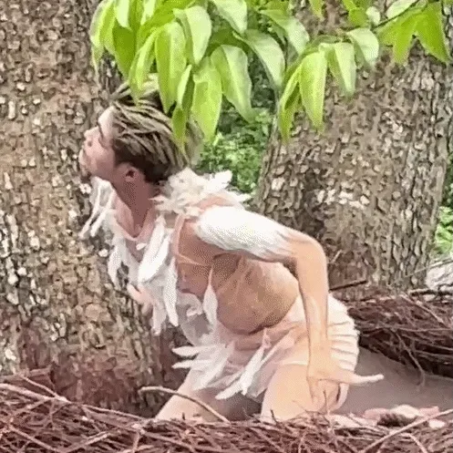 Màn múa chim non độc lạ gây sốt tại khu du lịch ở Ninh Bình Màn múa chim non độc lạ gây sốt tại khu du lịch ở Ninh Bình
