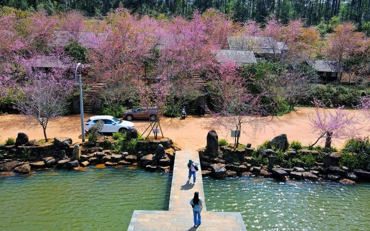 Măng Đen và Lý Sơn là 'thỏi nam châm' hút khách dịp lễ Giỗ Tổ Hùng Vương Măng Đen và Lý Sơn là 'thỏi nam châm' hút khách dịp lễ Giỗ Tổ Hùng Vương