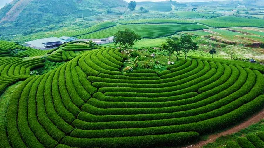 Mộc Châu - Điểm đến thiên nhiên hàng đầu châu Á 2026, “Đà Lạt của Tây Bắc” Mộc Châu - Điểm đến thiên nhiên hàng đầu châu Á 2026, “Đà Lạt của Tây Bắc”