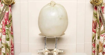 Món gà Pháp xa xỉ giá 11 triệu đồng nấu trong bàng quang heo