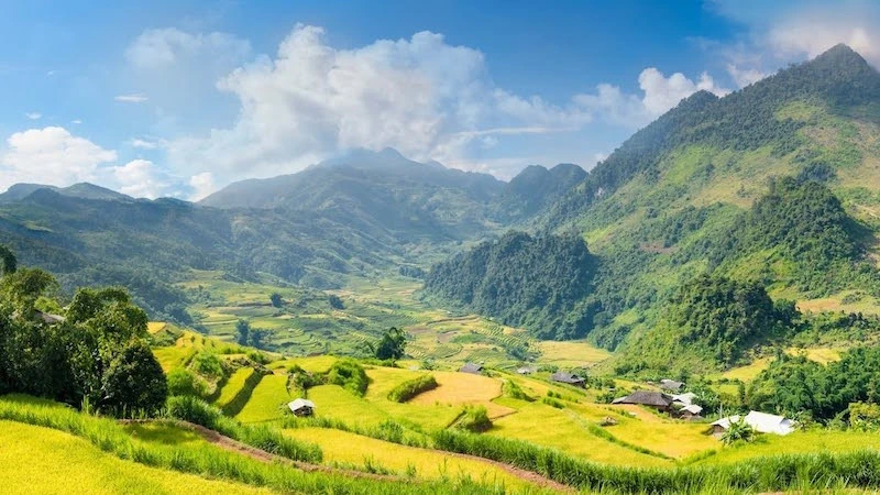 Mùa thu nơi "vịnh xanh" Tủa Thàng