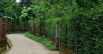 Mùa xuân về Huế, thong dong ở làng Thủy Biều cổ xưa