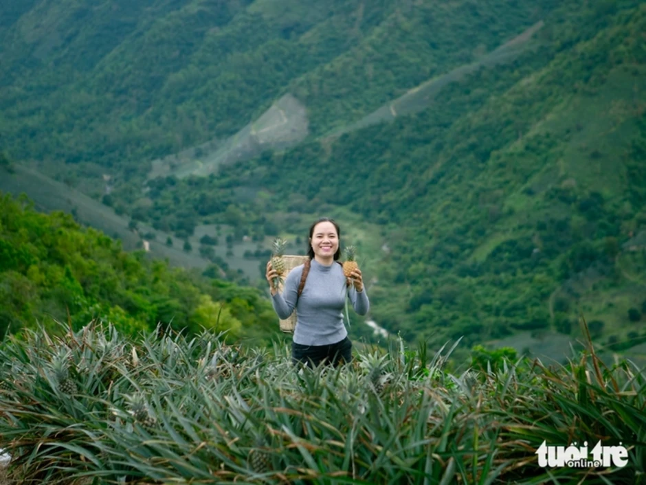 Ngắm hoàng hôn, ăn dứa no nê tại thung lũng Đồng Din