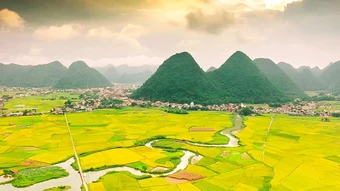 Ngắm mùa vàng giữa non xanh
