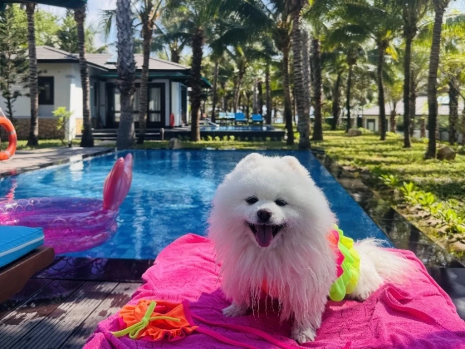 Nghỉ dưỡng cùng thú cưng tại Duyên Hà Resort Cam Ranh Nghỉ dưỡng cùng thú cưng tại Duyên Hà Resort Cam Ranh
