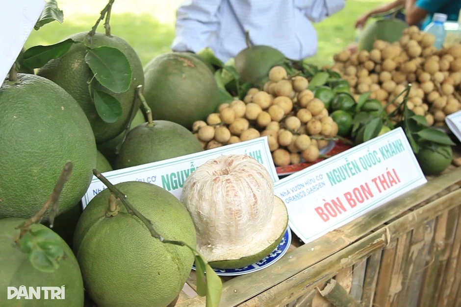Ngôi làng đặc biệt ở miền Trung trồng trái cây Nam Bộ Ngôi làng đặc biệt ở miền Trung trồng trái cây Nam Bộ