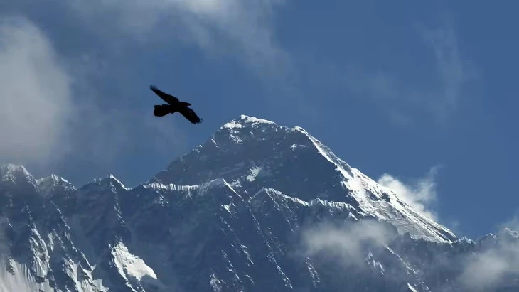 Nhà leo núi từng bị ung thư, vẫn phá kỷ lục tốc độ chinh phục Everest tồn tại hơn 20 năm Nhà leo núi từng bị ung thư, vẫn phá kỷ lục tốc độ chinh phục Everest tồn tại hơn 20 năm