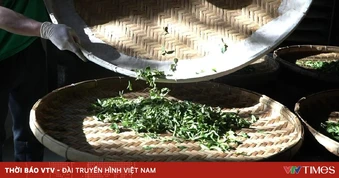 Nhấp một ngụm trà xuân, nghe mùa về