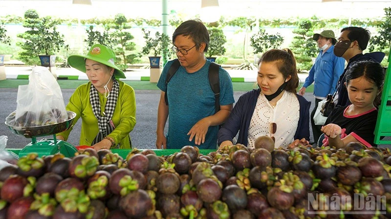Nhiều hoạt động nổi bật tại Lễ hội Trái cây Nam Bộ lần thứ 22 Nhiều hoạt động nổi bật tại Lễ hội Trái cây Nam Bộ lần thứ 22