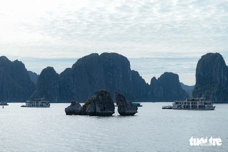 Nhóm bạn thân U70 người Úc bay gần 9 tiếng đến Việt Nam ăn phở, ngủ đêm trên vịnh Hạ Long Nhóm bạn thân U70 người Úc bay gần 9 tiếng đến Việt Nam ăn phở, ngủ đêm trên vịnh Hạ Long